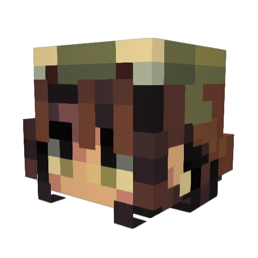 S0m3l053r Minecraft avatar head, 3D render