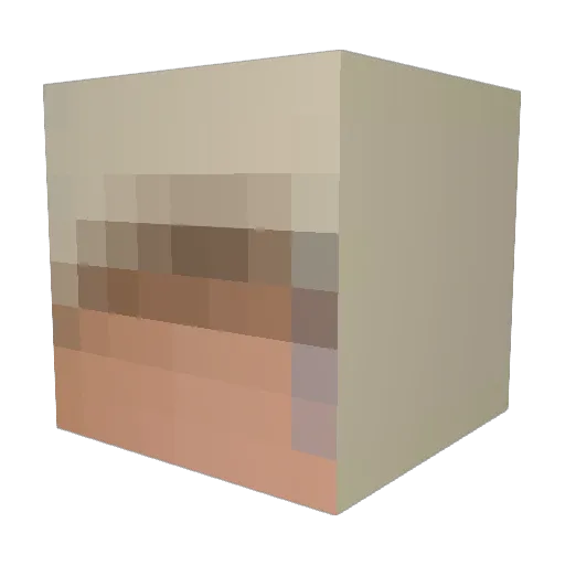 S0methingS00n Minecraft avatar head, 3D render