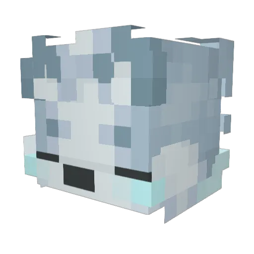 S0n4ki Minecraft avatar head, 3D render