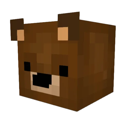 S0nicBo0M Minecraft avatar head, 3D render