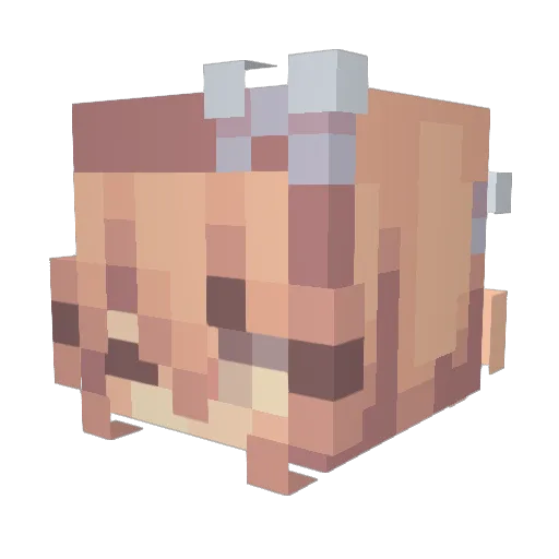 S0qhlE Minecraft avatar head, 3D render