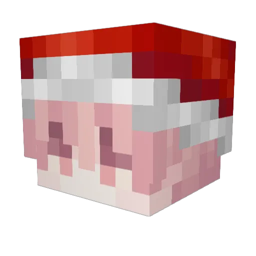 S0ryt Minecraft avatar head, 3D render