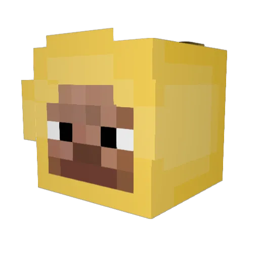 S0ulzz___ Minecraft avatar head, 3D render