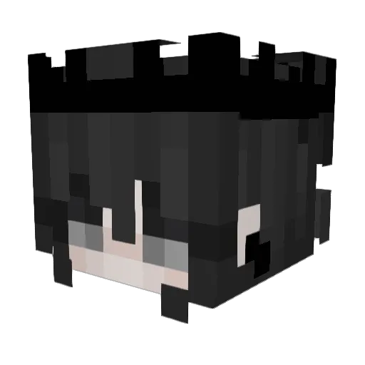 S0upGHG Minecraft avatar head, 3D render