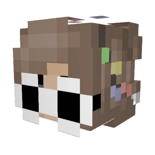 S0upNoodles Minecraft avatar head, 3D render