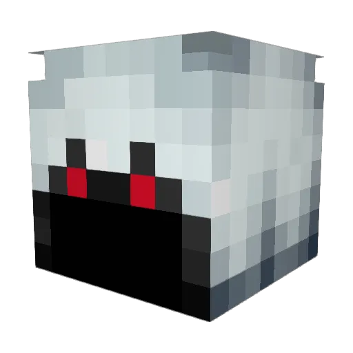 S0uth21 Minecraft avatar head, 3D render