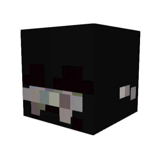 S0v_ers Minecraft avatar head, 3D render