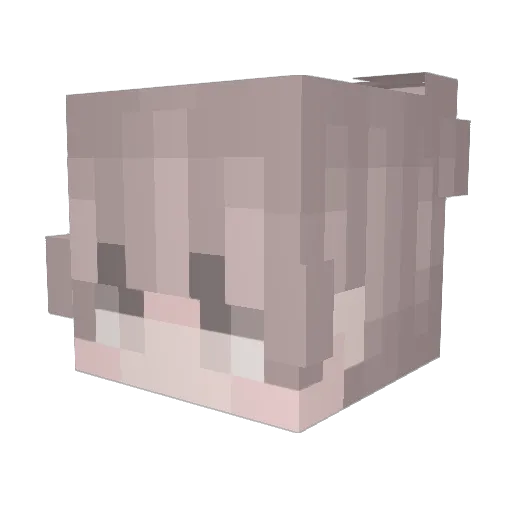 S0yinfantil Minecraft avatar head, 3D render