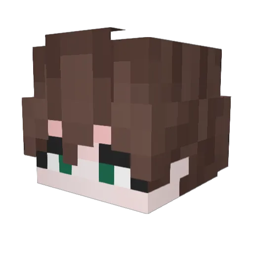S11parkZ Minecraft avatar head, 3D render