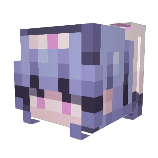 S13epDeprived Minecraft avatar head, 3D render