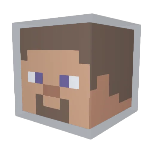 S18WasTaken Minecraft avatar head, 3D render