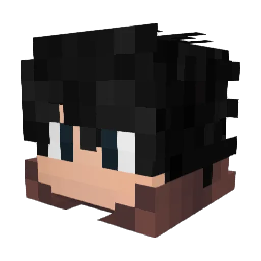S1_HA Minecraft avatar head, 3D render
