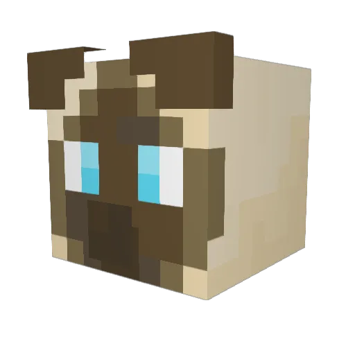 S1ame5e Minecraft avatar head, 3D render