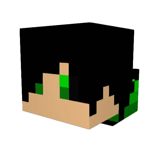 S1ayer14 Minecraft avatar head, 3D render