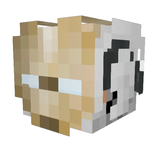 S1cedBr3ad Minecraft avatar head, 3D render