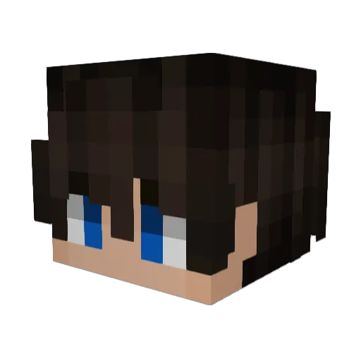 Minecraft-Avatar von S1dje: Kopf als 3D-Render
