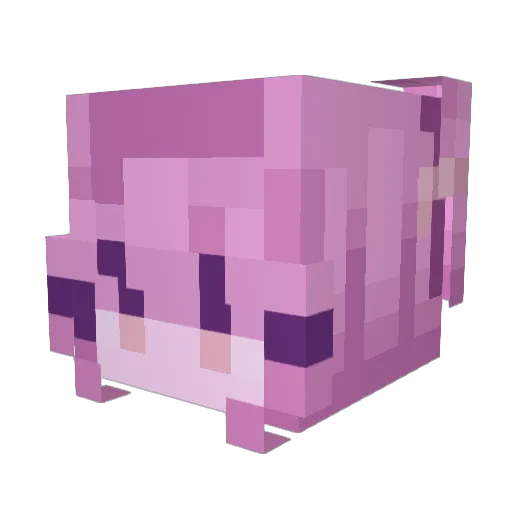 S1eepyBee_ Minecraft avatar head, 3D render