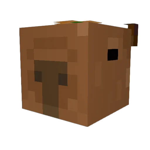 S1er0X Minecraft avatar head, 3D render