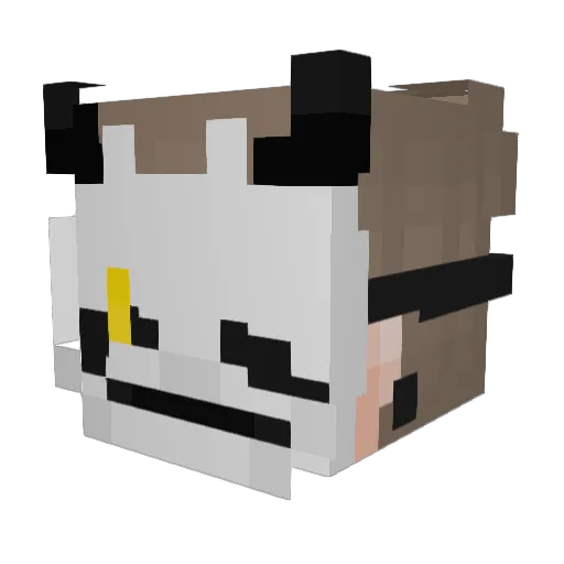 S1ldrxve Minecraft avatar head, 3D render