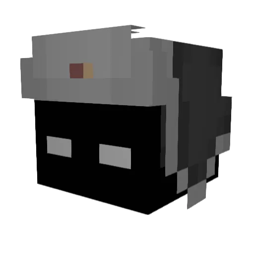 S1lex1337 Minecraft avatar head, 3D render