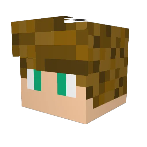 S1lf3rs15 Minecraft avatar head, 3D render