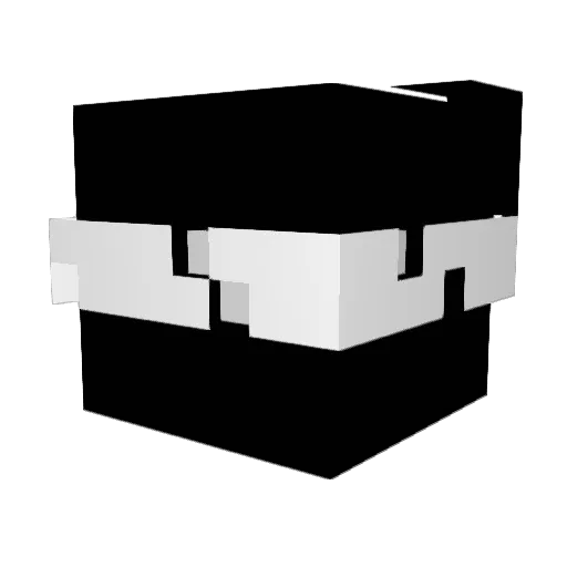 S1lverIsCool Minecraft avatar head, 3D render