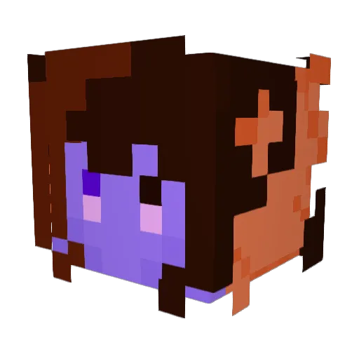 S1lverN7 Minecraft avatar head, 3D render