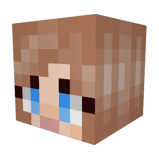 S1mpleCheetah Minecraft avatar head, 3D render