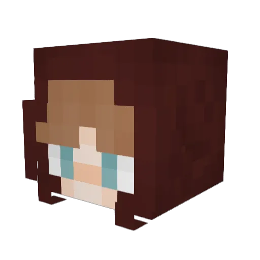 S1mplyTea Minecraft avatar head, 3D render