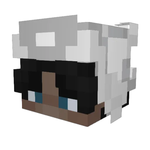 S1ncedd Minecraft avatar head, 3D render