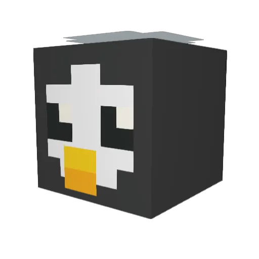 S1ngular1ty_22 Minecraft avatar head, 3D render