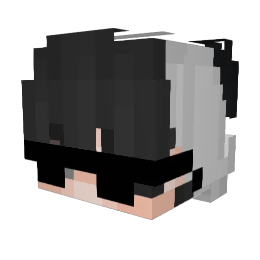 S1rEatsALot Minecraft avatar head, 3D render