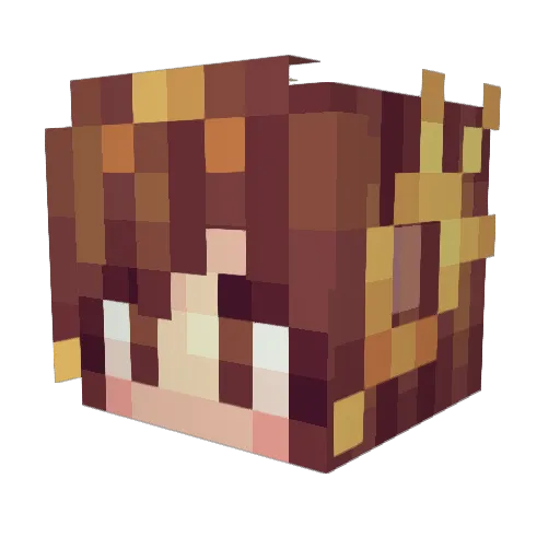 S1rMurphy Minecraft avatar head, 3D render