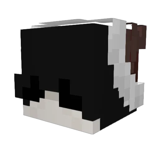 S24F Minecraft avatar head, 3D render