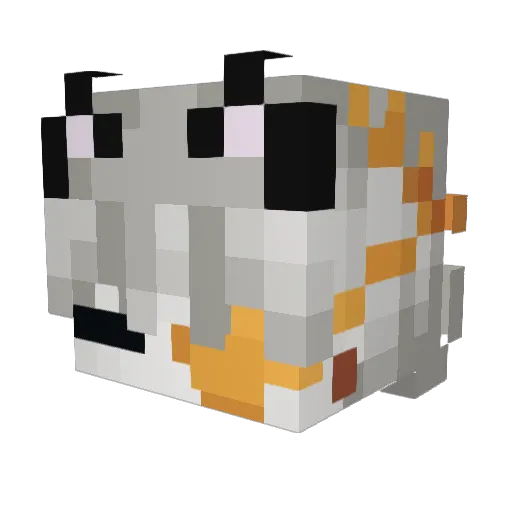 S2BBBBBBBB Minecraft avatar head, 3D render