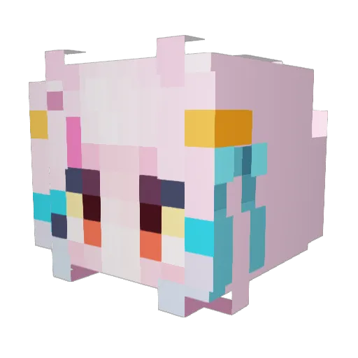 S2e0_a Minecraft avatar head, 3D render