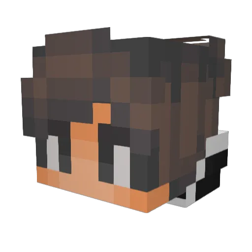 S3L4Hx Minecraft avatar head, 3D render