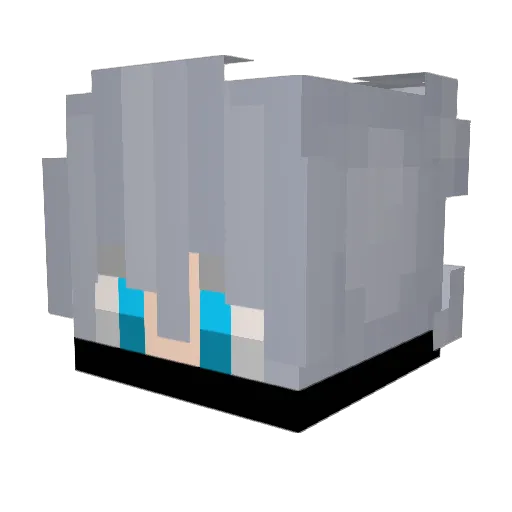 S3LEPENQUEx Minecraft avatar head, 3D render