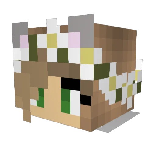 S3yll Minecraft avatar head, 3D render