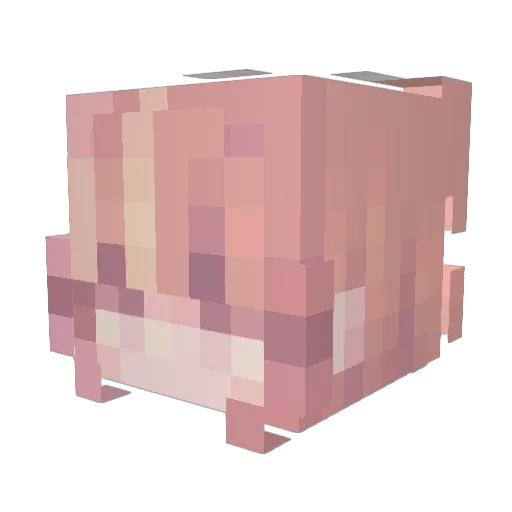 S44B1ST95 Minecraft avatar head, 3D render