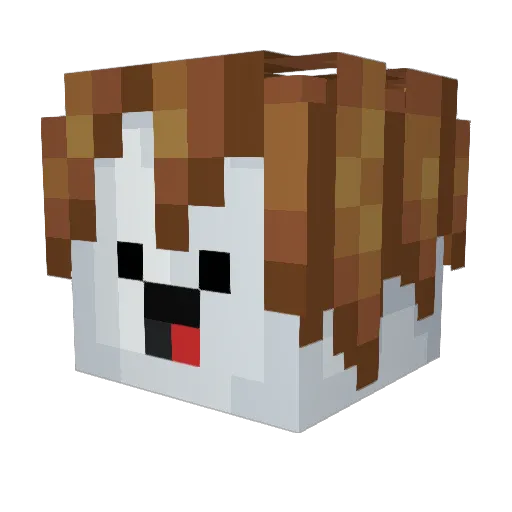 S4P_S5P Minecraft avatar head, 3D render