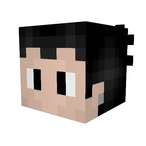 S4ndr0 Minecraft avatar head, 3D render
