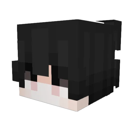 S4ntoss Minecraft avatar head, 3D render