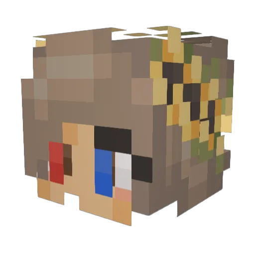 S4phiirSchnee Minecraft avatar head, 3D render