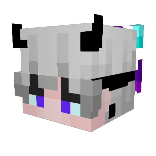 S4rdegna07 Minecraft avatar head, 3D render