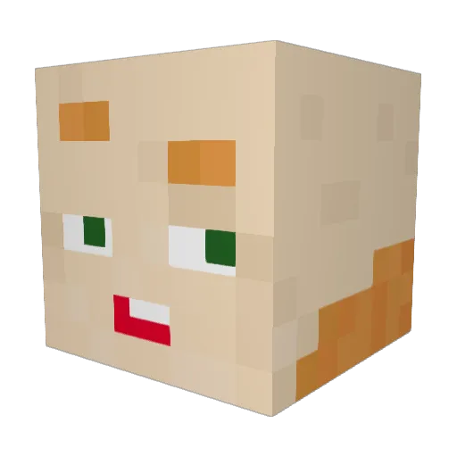 S4vi_ Minecraft avatar head, 3D render