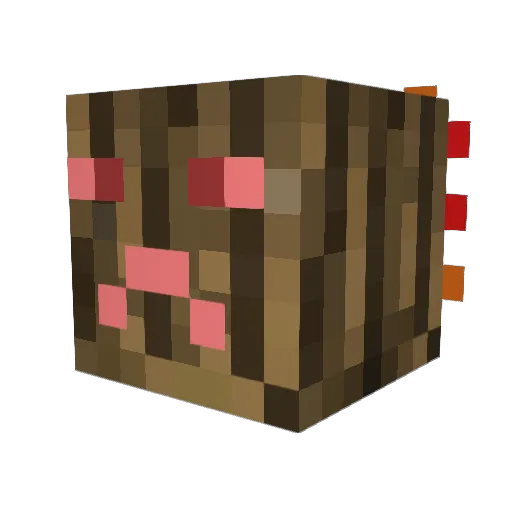 S5220S Minecraft avatar head, 3D render