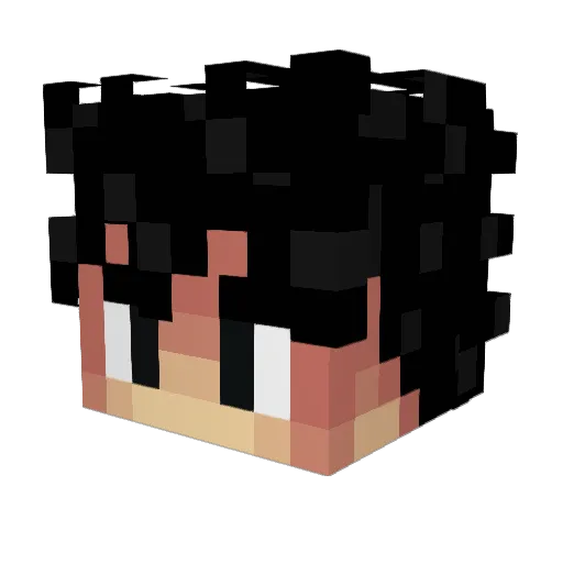 S5INT Minecraft avatar head, 3D render