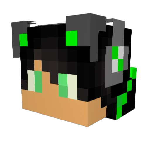 S7orm1 Minecraft avatar head, 3D render