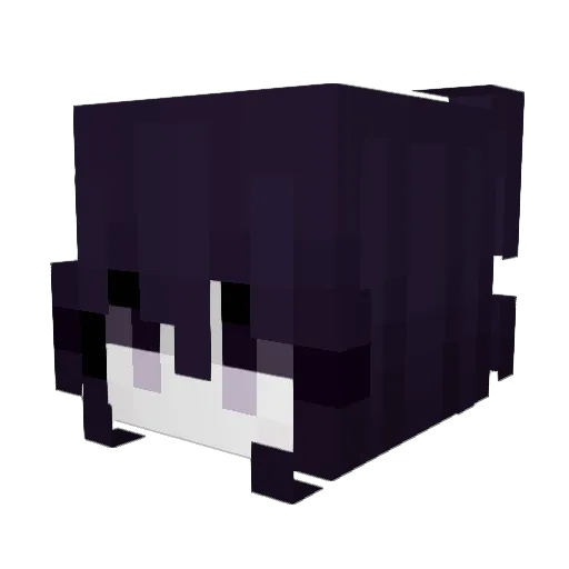 S8ya_anikaM4 Minecraft avatar head, 3D render